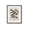 Picture of Black Linen Leaves IV _GroupedProduct_Rectangle_Portrait_Framed_Matted_