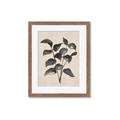 Picture of Black Linen Leaves IV _GroupedProduct_Rectangle_Portrait_Framed_Matted_