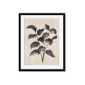 Picture of Black Linen Leaves IV _GroupedProduct_Rectangle_Portrait_Framed_Matted_