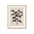 Picture of Black Linen Leaves IV _GroupedProduct_Rectangle_Portrait_Framed_Matted_