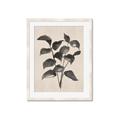 Picture of Black Linen Leaves IV _GroupedProduct_Rectangle_Portrait_Framed_Matted_
