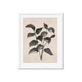 Picture of Black Linen Leaves IV _GroupedProduct_Rectangle_Portrait_Framed_Matted_
