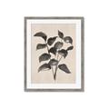 Picture of Black Linen Leaves IV _GroupedProduct_Rectangle_Portrait_Framed_Matted_
