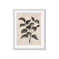 Picture of Black Linen Leaves IV _GroupedProduct_Rectangle_Portrait_Framed_Matted_