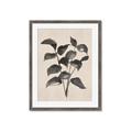 Picture of Black Linen Leaves IV _GroupedProduct_Rectangle_Portrait_Framed_Matted_