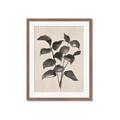 Picture of Black Linen Leaves IV _GroupedProduct_Rectangle_Portrait_Framed_Matted_