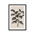 Picture of Black Linen Leaves IV _GroupedProduct_Rectangle_Portrait_Framed_Matted_