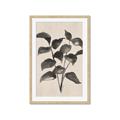 Picture of Black Linen Leaves IV _GroupedProduct_Rectangle_Portrait_Framed_Matted_