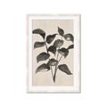 Picture of Black Linen Leaves IV _GroupedProduct_Rectangle_Portrait_Framed_Matted_