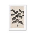 Picture of Black Linen Leaves IV _GroupedProduct_Rectangle_Portrait_Framed_Matted_
