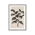 Picture of Black Linen Leaves IV _GroupedProduct_Rectangle_Portrait_Framed_Matted_