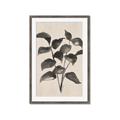 Picture of Black Linen Leaves IV _GroupedProduct_Rectangle_Portrait_Framed_Matted_