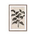 Picture of Black Linen Leaves IV _GroupedProduct_Rectangle_Portrait_Framed_Matted_