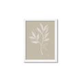 Picture of Neutral Plant VIII _GroupedProduct_Rectangle_Portrait_Framed_Matted_