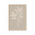 Picture of Neutral Plant VIII _GroupedProduct_Rectangle_Portrait_Framed_Matted_