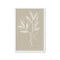Picture of Neutral Plant VIII _GroupedProduct_Rectangle_Portrait_Framed_Matted_