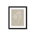 Picture of Neutral Plant VIII _GroupedProduct_Rectangle_Portrait_Framed_Matted_