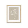 Picture of Neutral Plant VIII _GroupedProduct_Rectangle_Portrait_Framed_Matted_