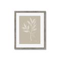 Picture of Neutral Plant VIII _GroupedProduct_Rectangle_Portrait_Framed_Matted_