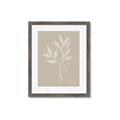 Picture of Neutral Plant VIII _GroupedProduct_Rectangle_Portrait_Framed_Matted_