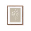 Picture of Neutral Plant VIII _GroupedProduct_Rectangle_Portrait_Framed_Matted_