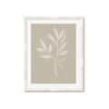 Picture of Neutral Plant VIII _GroupedProduct_Rectangle_Portrait_Framed_Matted_