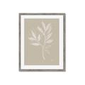 Picture of Neutral Plant VIII _GroupedProduct_Rectangle_Portrait_Framed_Matted_