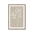 Picture of Neutral Plant VIII _GroupedProduct_Rectangle_Portrait_Framed_Matted_