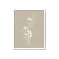 Picture of Neutral Plant V _GroupedProduct_Rectangle_Portrait_Framed_Matted_