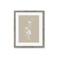 Picture of Neutral Plant V _GroupedProduct_Rectangle_Portrait_Framed_Matted_