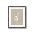 Picture of Neutral Plant V _GroupedProduct_Rectangle_Portrait_Framed_Matted_