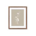 Picture of Neutral Plant V _GroupedProduct_Rectangle_Portrait_Framed_Matted_