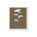 Picture of Neutral Plant  IV _GroupedProduct_Rectangle_Portrait_Framed_Matted_