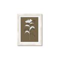 Picture of Neutral Plant  IV _GroupedProduct_Rectangle_Portrait_Framed_Matted_