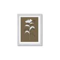 Picture of Neutral Plant  IV _GroupedProduct_Rectangle_Portrait_Framed_Matted_