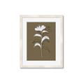 Picture of Neutral Plant  IV _GroupedProduct_Rectangle_Portrait_Framed_Matted_