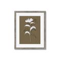 Picture of Neutral Plant  IV _GroupedProduct_Rectangle_Portrait_Framed_Matted_