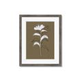 Picture of Neutral Plant  IV _GroupedProduct_Rectangle_Portrait_Framed_Matted_