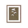 Picture of Neutral Plant  IV _GroupedProduct_Rectangle_Portrait_Framed_Matted_