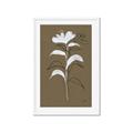Picture of Neutral Plant  IV _GroupedProduct_Rectangle_Portrait_Framed_Matted_