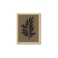 Picture of Silhouette Leaves _GroupedProduct_Rectangle_Portrait_Framed_Matted_