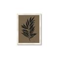 Picture of Silhouette Leaves _GroupedProduct_Rectangle_Portrait_Framed_Matted_