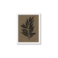 Picture of Silhouette Leaves _GroupedProduct_Rectangle_Portrait_Framed_Matted_