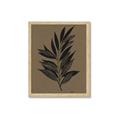 Picture of Silhouette Leaves _GroupedProduct_Rectangle_Portrait_Framed_Matted_