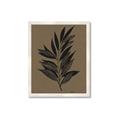 Picture of Silhouette Leaves _GroupedProduct_Rectangle_Portrait_Framed_Matted_