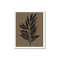 Picture of Silhouette Leaves _GroupedProduct_Rectangle_Portrait_Framed_Matted_