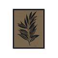 Picture of Silhouette Leaves _GroupedProduct_Rectangle_Portrait_Framed_Matted_