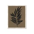Picture of Silhouette Leaves _GroupedProduct_Rectangle_Portrait_Framed_Matted_