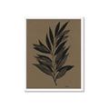 Picture of Silhouette Leaves _GroupedProduct_Rectangle_Portrait_Framed_Matted_