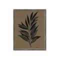 Picture of Silhouette Leaves _GroupedProduct_Rectangle_Portrait_Framed_Matted_